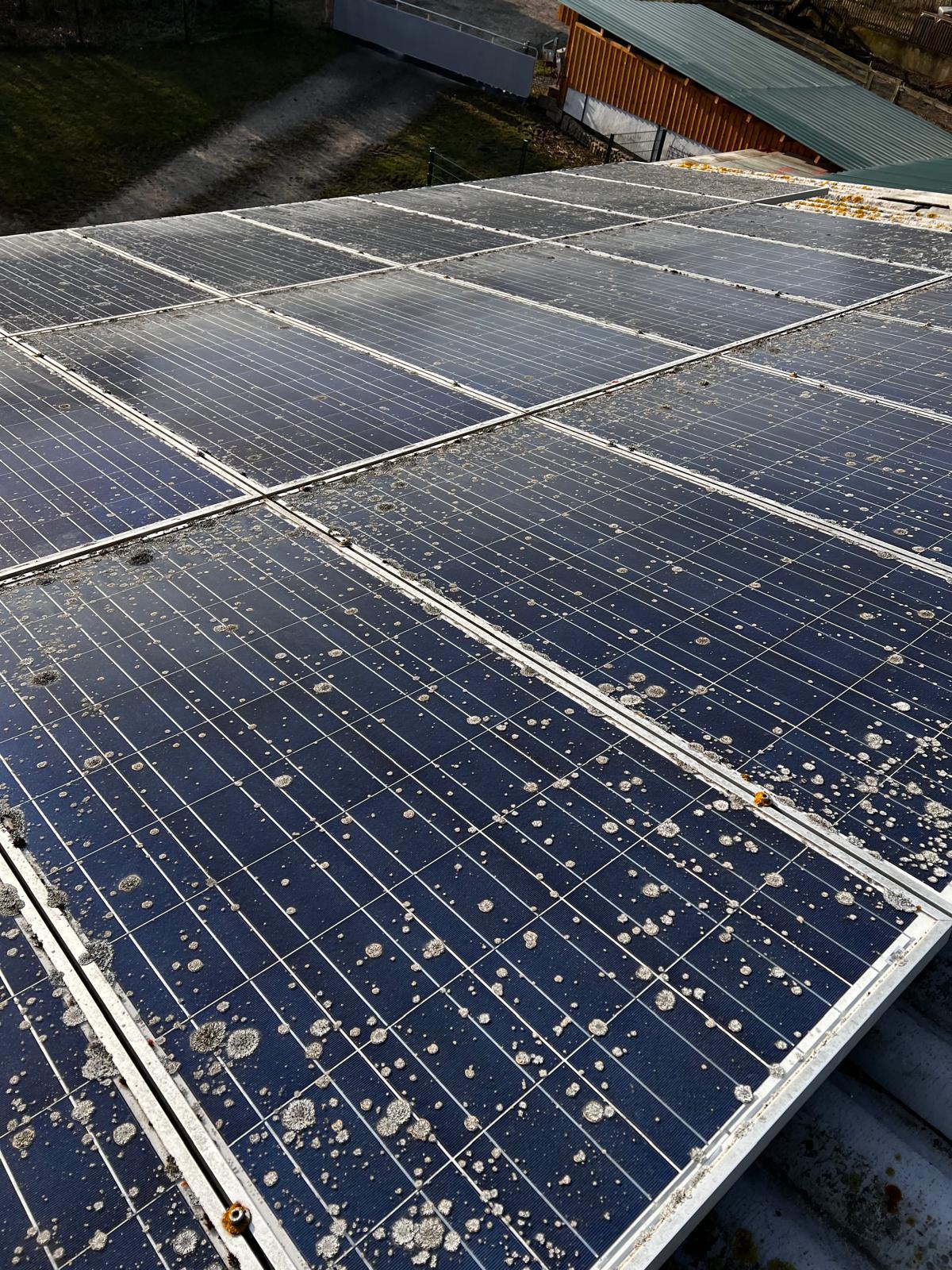 WhatsApp Bild 2025-07-22 um 03.33.56_3cb73376